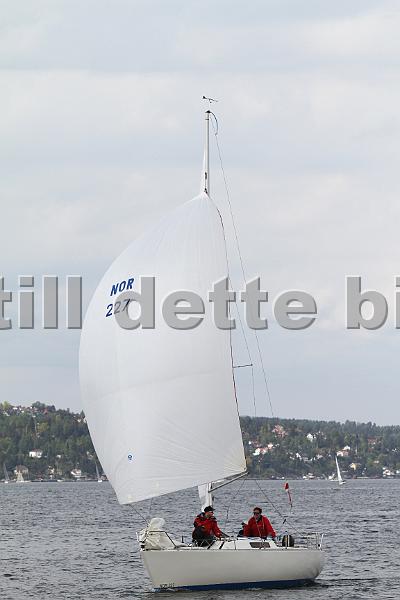 Bundefjorden2012 260.jpg